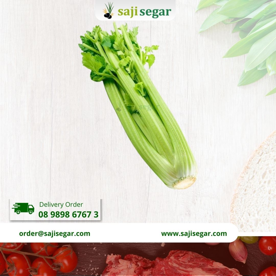 seleder / seledri impor / stik / 100gram